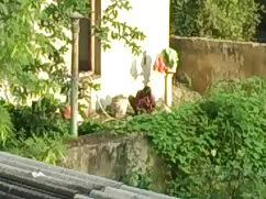 বড় কুকুরের চুদাচুদি ...