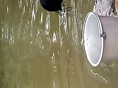উভমুখি যৌনতার, মেয়ে ...