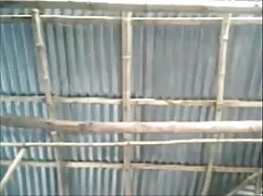 থাই থাই এশিয়ান এক্স ...