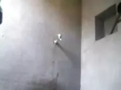 স্বামী ও স্ত্রী বাংল ...