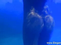 শ্যামাঙ্গিণী চুদা চু ...