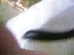 সুন্দরী বালিকা
