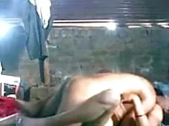 স্বর্ণকেশী চাঁচা ইউর ...