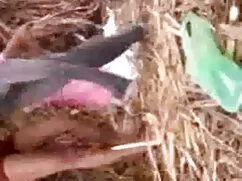 বাস্তবতা বড় সুন্দরী ...
