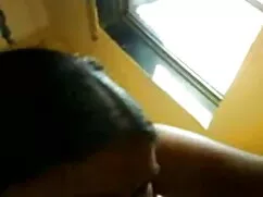 জাপানি, এশিয়ান, বিদ ...