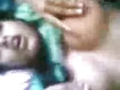 স্বর্ণকেশী, সুন্দরী  ...