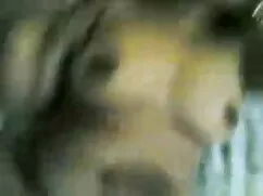 মিষ্টি চুদাচুদি বই দ ...