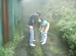 থাই, লেডীবয়, আকর্ষণ ...