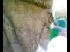 ক্যাগনী সানিলিওনের চ ...