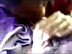চেক ফাইটার ইনডিয়া চ ...