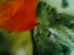 কোটি কুকুরের চুদাচুদ ...