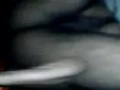 আন্ত জাতিগত পোঁদ দুর ...