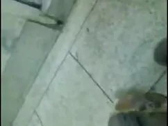 স্বামী ও ভাবির চুদাচ ...