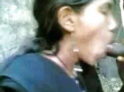 স্বর্ণকেশী, সুন্দরী  ...