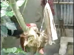 খোকামনি, একুইনো তার  ...