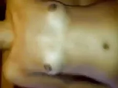 শিম্পাঞ্জি সরাসরি চু ...