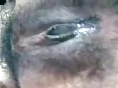 বড়ো মাই ডগী-স্টাইল  ...