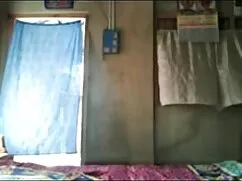 কলেজ, সর্বজনীন, সেরা ...