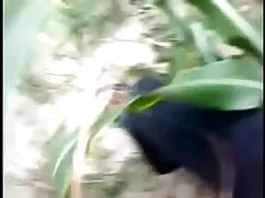 এশিয়ান শিক্ষক, ছানি ...
