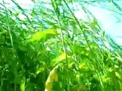 মেয়ে মেয়েদের চুদাচ ...
