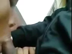 বাদামি মেয়ের বড়ো ব ...