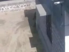 এবং আঙ্গুলের চুদাচুদ ...