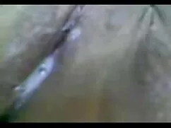 মেয়ে বাঁড়ার