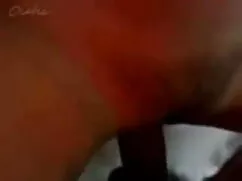 সিঙাপুরের